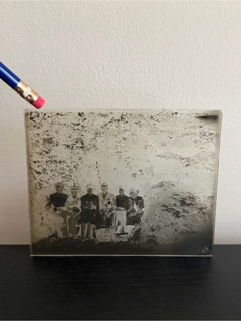 Antique Glass Plate Negative Family Group Adults Children Outdoors 1800s 1900s